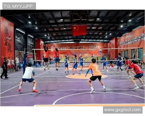 体育实时数据奋战排球场重庆排球队的拼搏历程与荣耀追寻