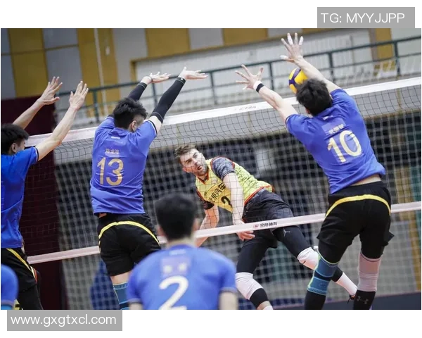 体育实时数据探寻北京排球队的耐力秘境与训练背后的故事