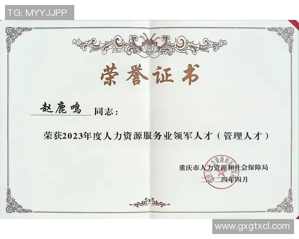 重磅专题聚焦重庆篮球队阵地战革新与战术创新的深度剖析与展望