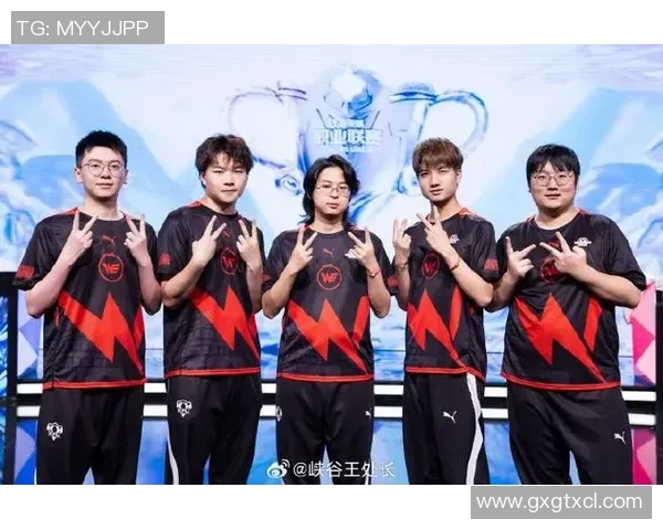 聚焦王者荣耀WE战队近期状态分析与未来发展展望